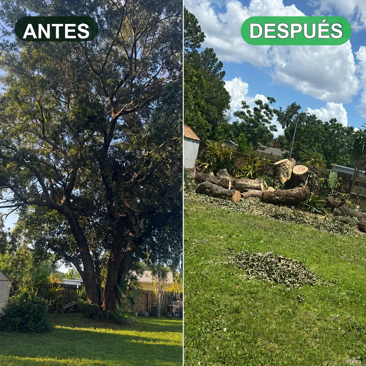 Antes y después de limpieza y mantenimiento exterior por AAA Rodriguez