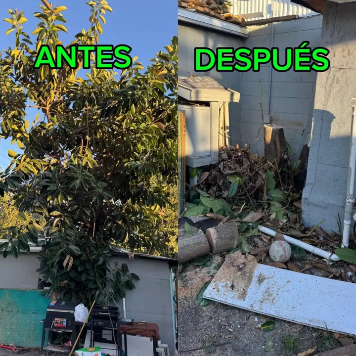 Antes y después de limpieza exterior