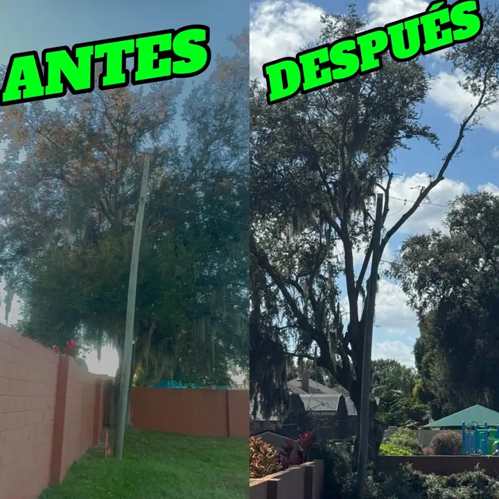 Trabajo antes y después cerca de vivienda