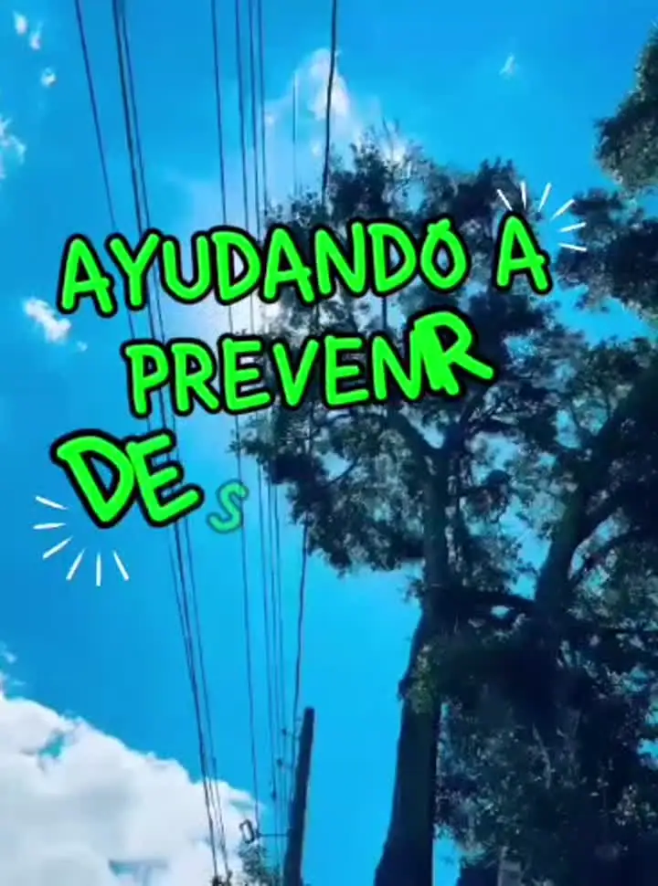 Video de prevención de riesgos