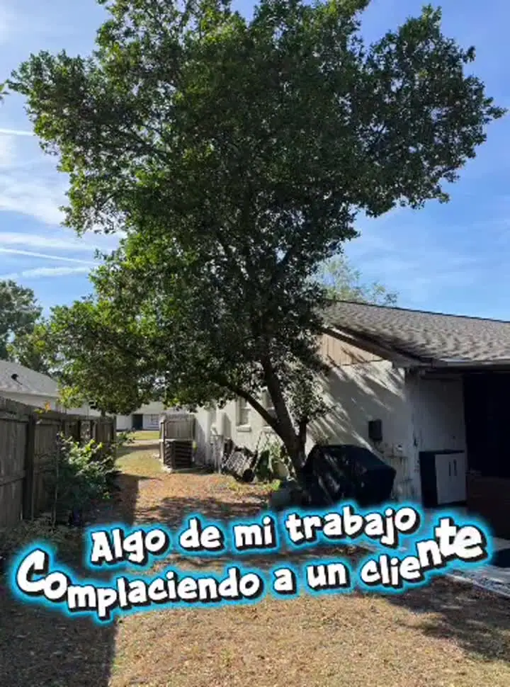 Video de limpieza exterior
