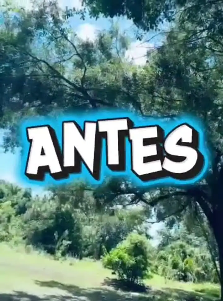 Video de antes y después