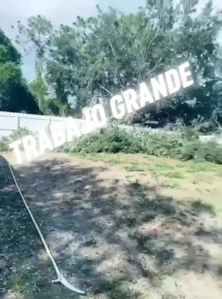 Video de trabajo grande